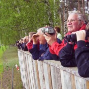 Vogelbeobachtungen von der Besucherplattform in Amalienhof (Saskia Buchendorf)